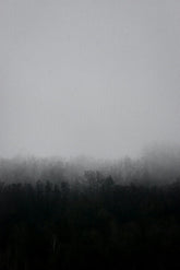 Dusk 50 ml Perfume Oil Rollerball